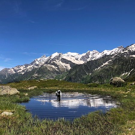 Chalet Riviere Du Bon Nant Location De 6 A 14 Personnes En Haute Savoie Saint-Gervais-les-Bains Exterior foto