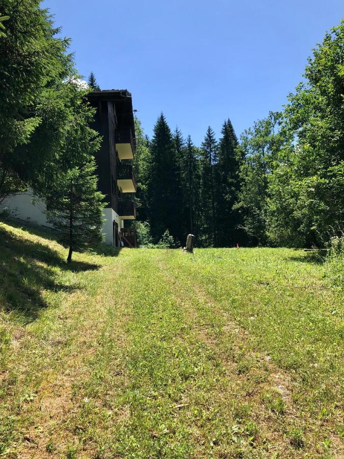 Chalet Riviere Du Bon Nant Location De 6 A 14 Personnes En Haute Savoie Saint-Gervais-les-Bains Exterior foto