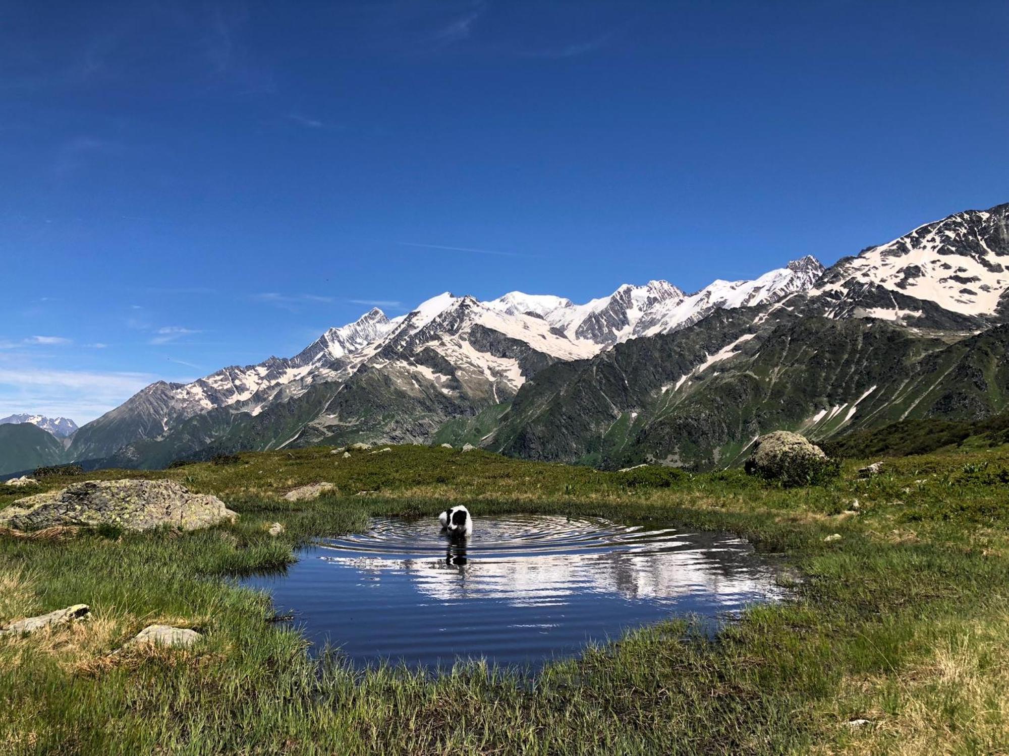 Chalet Riviere Du Bon Nant Location De 6 A 14 Personnes En Haute Savoie Saint-Gervais-les-Bains Exterior foto