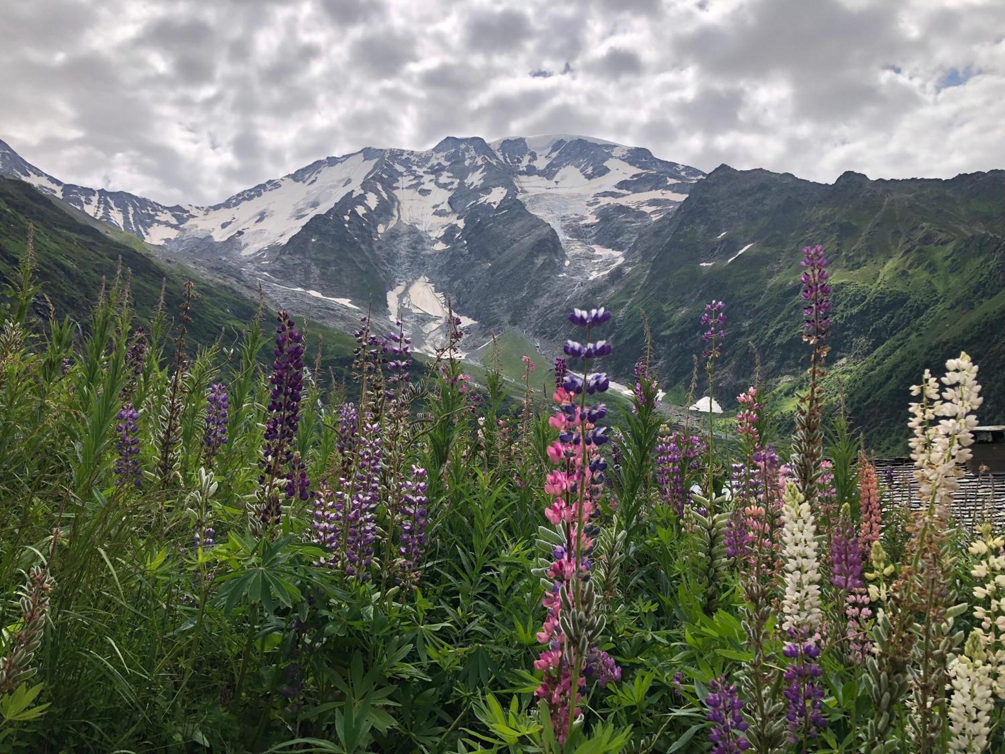 Chalet Riviere Du Bon Nant Location De 6 A 14 Personnes En Haute Savoie Saint-Gervais-les-Bains Exterior foto